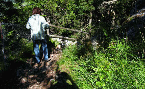 Burgenwelt Ehrenberg