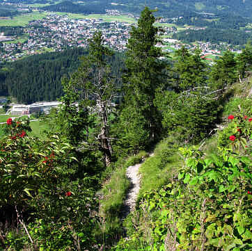 Burgenwelt Ehrenberg