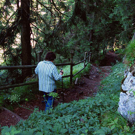 Burgenwelt Ehrenberg