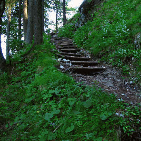 Burgenwelt Ehrenberg