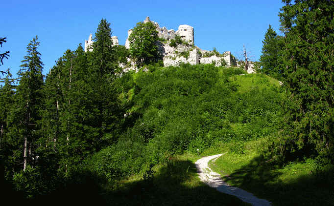 Burgenwelt Ehrenberg