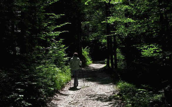 Burgenwelt Ehrenberg