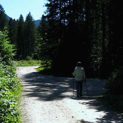 Burgenwelt Ehrenberg