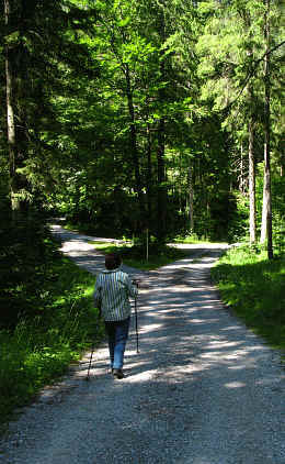 Burgenwelt Ehrenberg