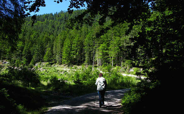 Burgenwelt Ehrenberg