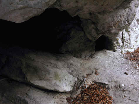 Auwaldpfad - Schwärzer  Höhle - Lechdamm