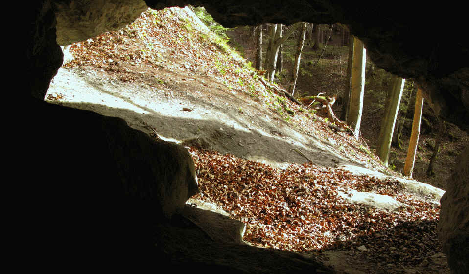 Auwaldpfad - Schwärzer  Höhle - Lechdamm