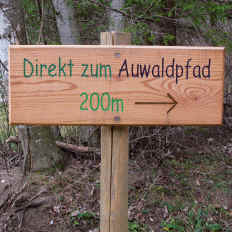 Auwaldpfad - Schwärzer  Höhle - Lechdamm