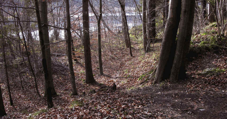 Auwaldpfad - Schwärzer  Höhle - Lechdamm