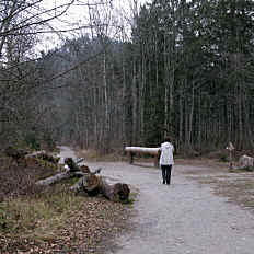 Auwaldpfad - Schwärzer  Höhle - Lechdamm