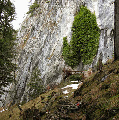 Vils Kreuzweg und Ruine Vilsegg