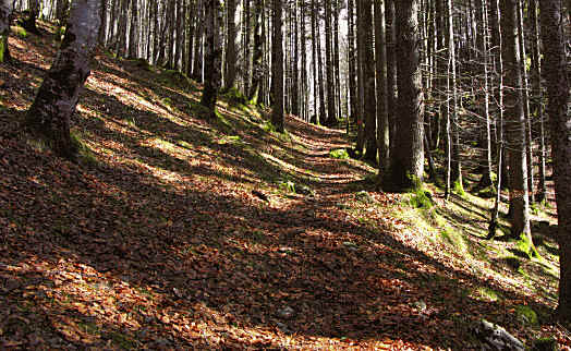 Vils Kreuzweg und Ruine Vilsegg