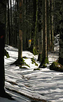 Vils Kreuzweg und Ruine Vilsegg