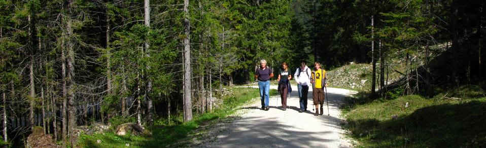 Vilser Kegel - Vilser Alm