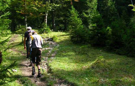 Vilser Kegel - Vilser Alm