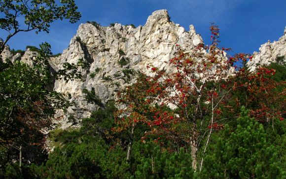 Vilser Kegel - Vilser Alm