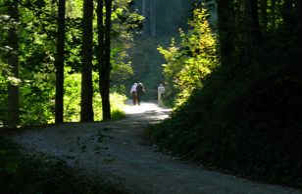 Vilser Kegel - Vilser Alm