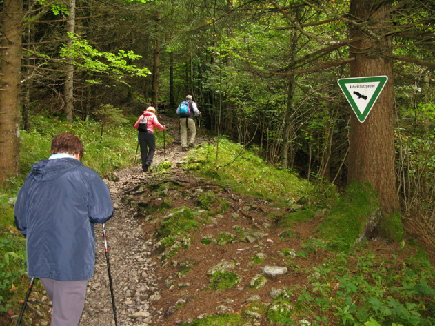 Hängebrücke - Brunnsteinhütte