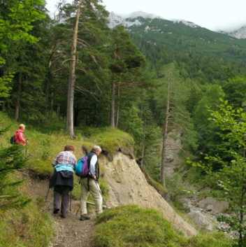 Hängebrücke - Brunnsteinhütte