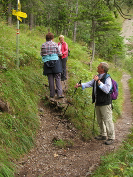 Hängebrücke - Brunnsteinhütte