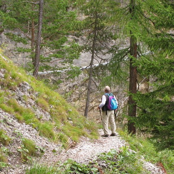 Hängebrücke - Brunnsteinhütte