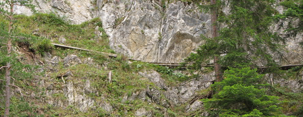 Hängebrücke - Brunnsteinhütte