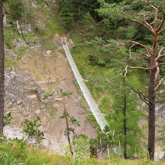 Hängebrücke - Brunnsteinhütte