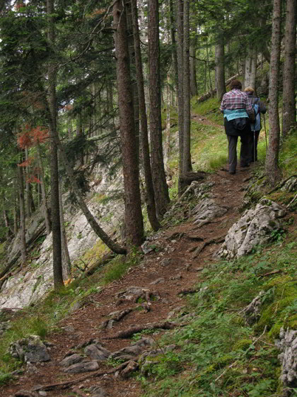 Hängebrücke - Brunnsteinhütte