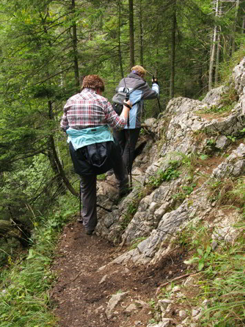 Hängebrücke - Brunnsteinhütte