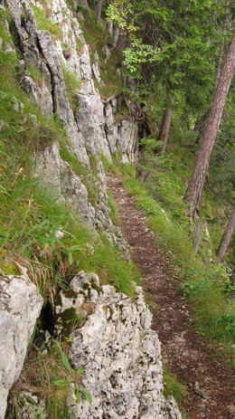 Hängebrücke - Brunnsteinhütte