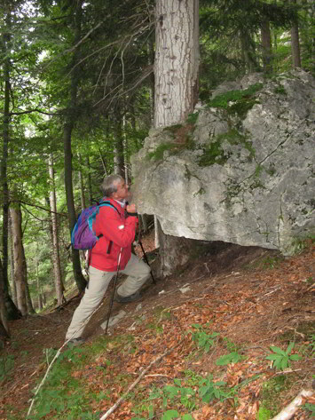 Hängebrücke - Brunnsteinhütte