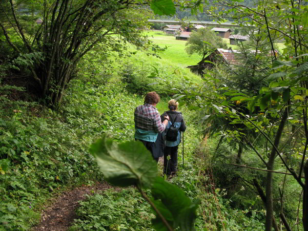 Hängebrücke - Brunnsteinhütte