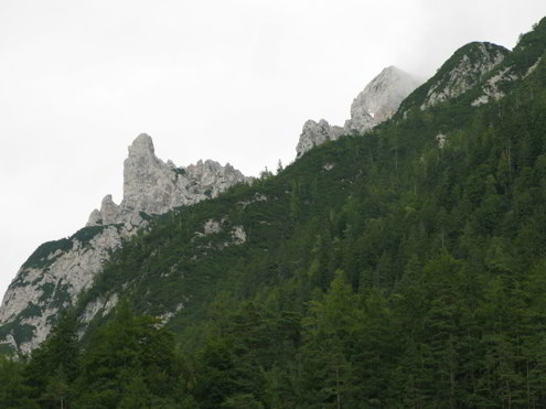 Hängebrücke - Brunnsteinhütte