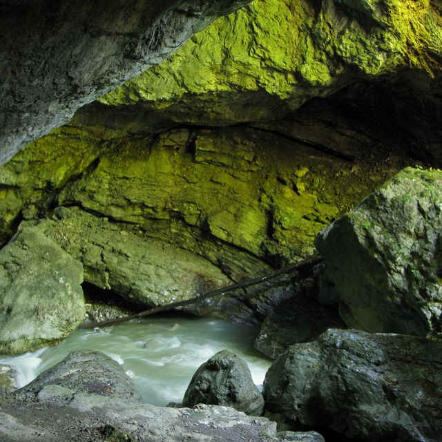 Rappenlochschlucht