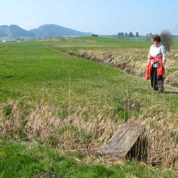 Fischausrundweg