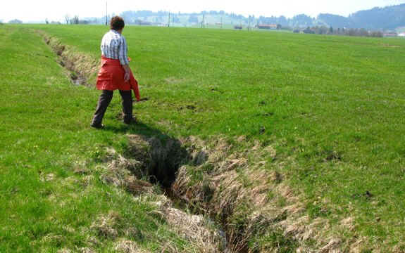 Fischausrundweg