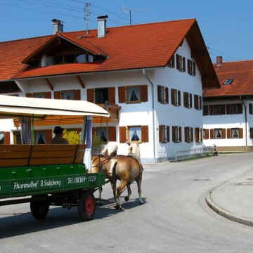 Fischausrundweg