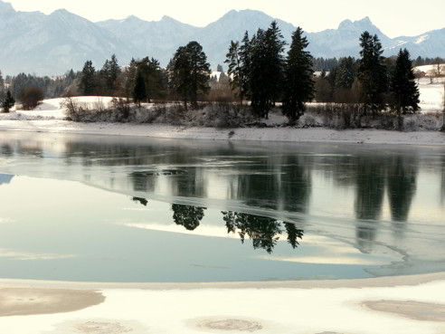 Forggensee Nordufer