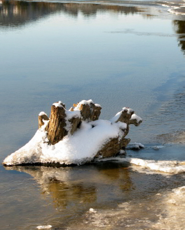 Forggensee Nordufer