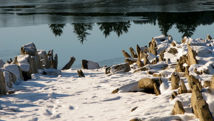 Forggensee Nordufer