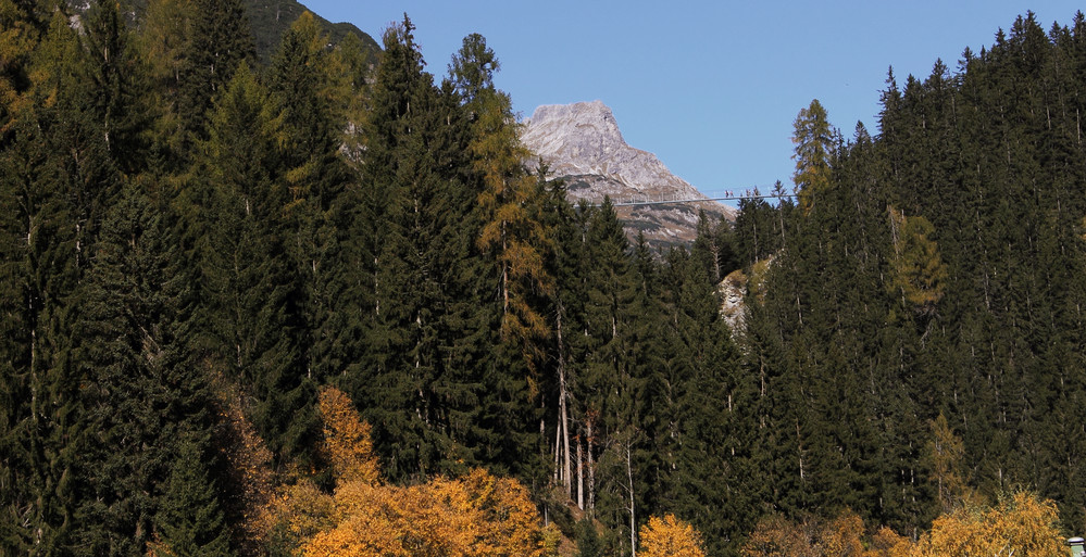 Haengebruecke Holzgau