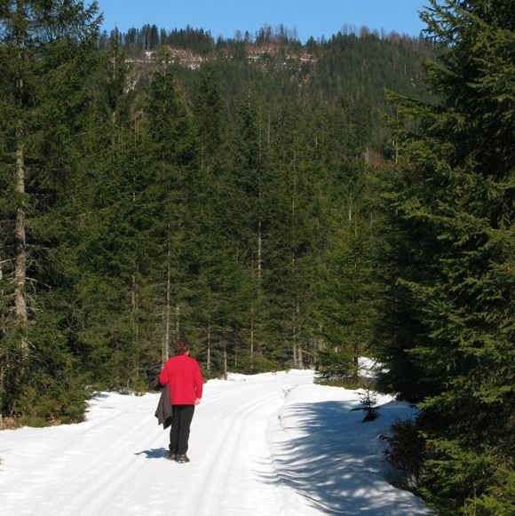 Klausenwald Schlossberg