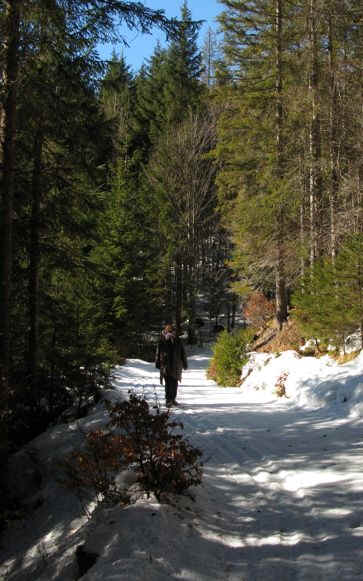 Klausenwald Schlossberg