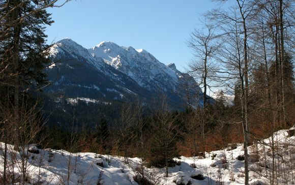 Klausenwald Schlossberg