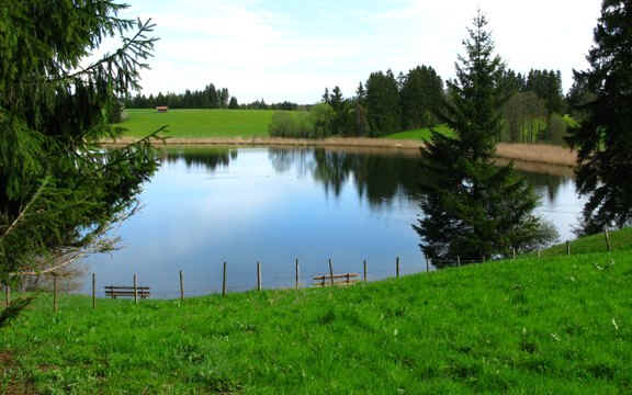 Kögelweiher Schwaltenweiher