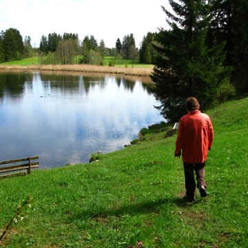 Kögelweiher Schwaltenweiher