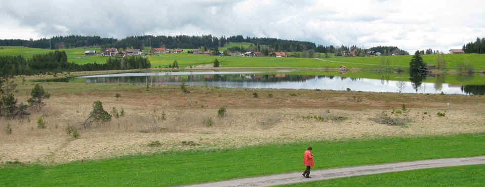 Kögelweiher Schwaltenweiher