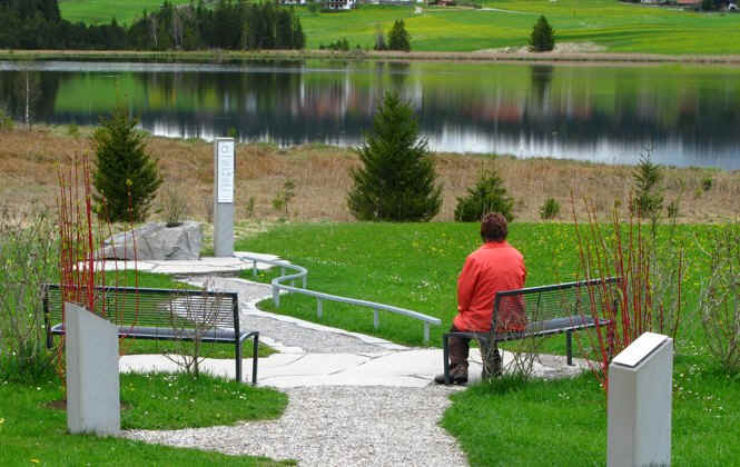 Kögelweiher Schwaltenweiher