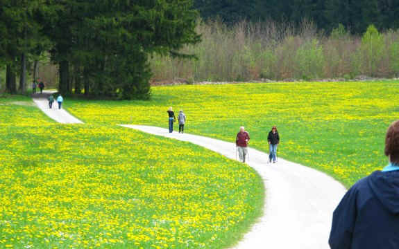 Kögelweiher Schwaltenweiher