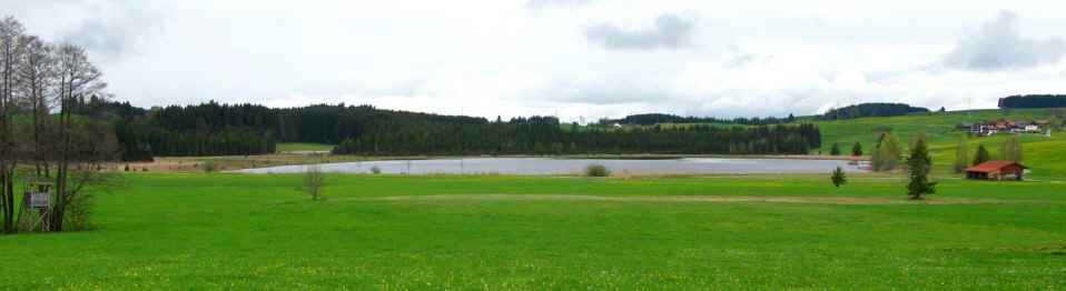 Kögelweiher Schwaltenweiher